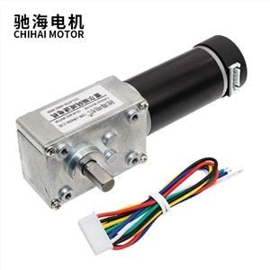 5840-3162 D tengely egyenáramú 12V 24V, erős nyomatékú turbó csigahajtóműves kódolómotor